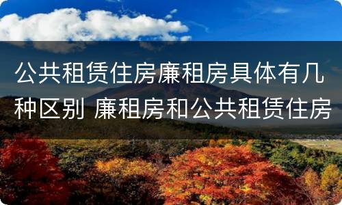 公共租赁住房廉租房具体有几种区别 廉租房和公共租赁住房有什么区别
