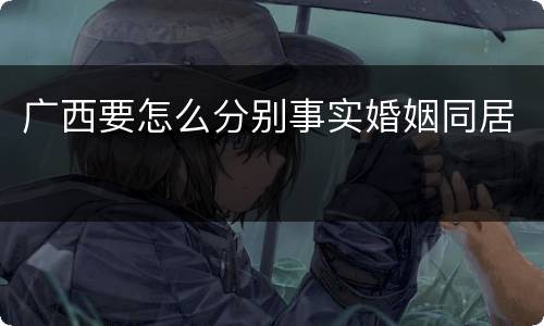 广西要怎么分别事实婚姻同居