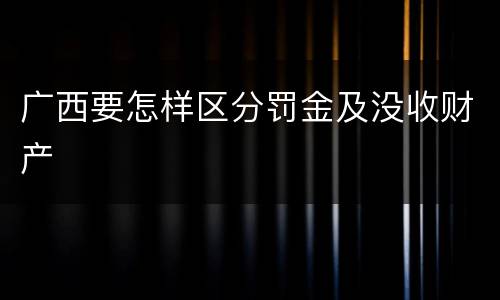 广西要怎样区分罚金及没收财产