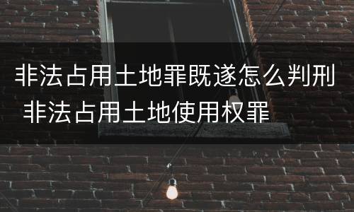 非法占用土地罪既遂怎么判刑 非法占用土地使用权罪