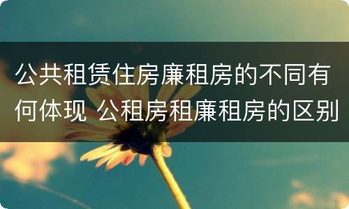 公共租赁住房廉租房的不同有何体现 公租房租廉租房的区别