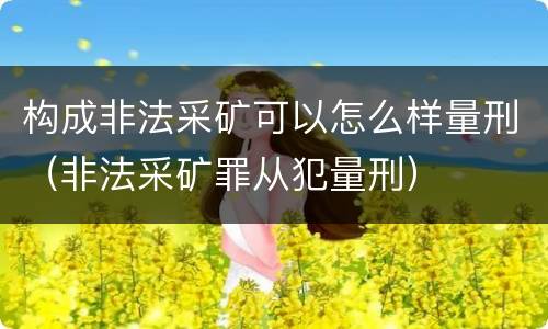 构成非法采矿可以怎么样量刑（非法采矿罪从犯量刑）