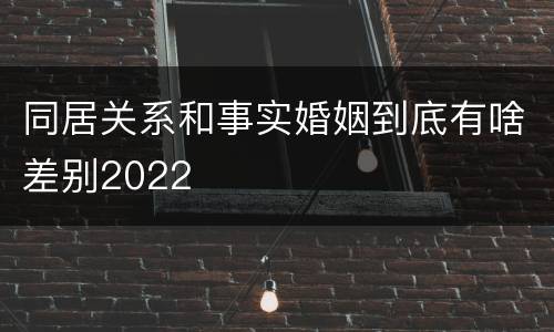 同居关系和事实婚姻到底有啥差别2022