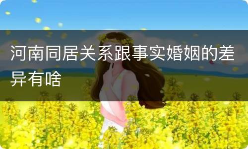 河南同居关系跟事实婚姻的差异有啥
