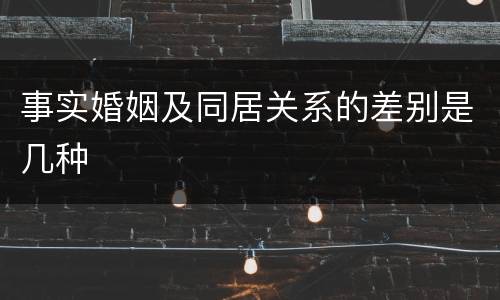 事实婚姻及同居关系的差别是几种