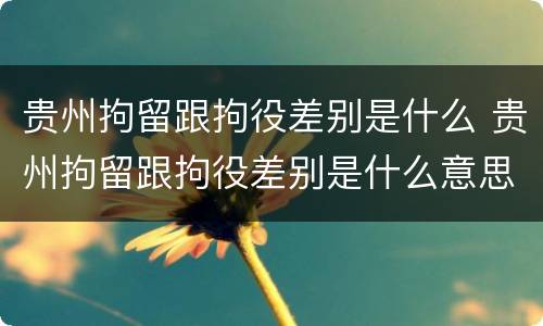 贵州拘留跟拘役差别是什么 贵州拘留跟拘役差别是什么意思