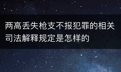 两高丢失枪支不报犯罪的相关司法解释规定是怎样的