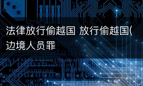 法律放行偷越国 放行偷越国(边境人员罪