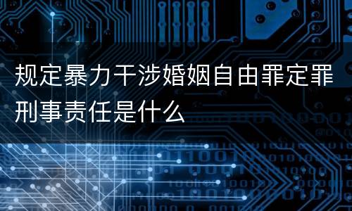 规定暴力干涉婚姻自由罪定罪刑事责任是什么
