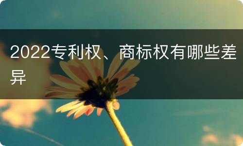 2022专利权、商标权有哪些差异