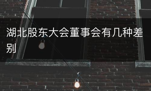 湖北股东大会董事会有几种差别