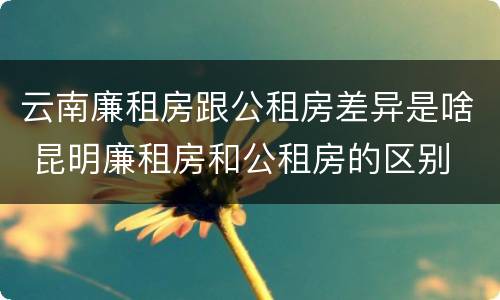 云南廉租房跟公租房差异是啥 昆明廉租房和公租房的区别