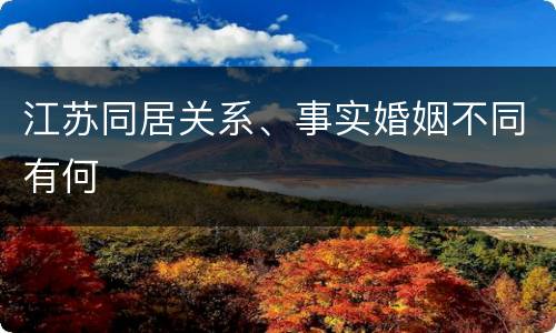 江苏同居关系、事实婚姻不同有何