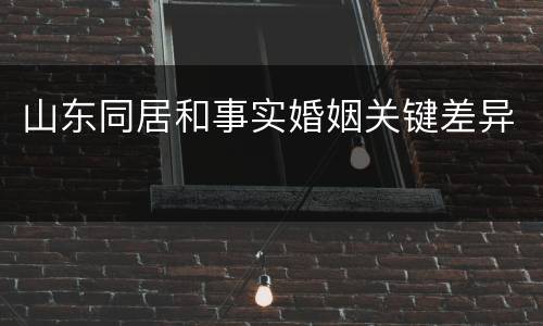 山东同居和事实婚姻关键差异