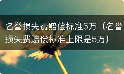 名誉损失费赔偿标准5万（名誉损失费赔偿标准上限是5万）