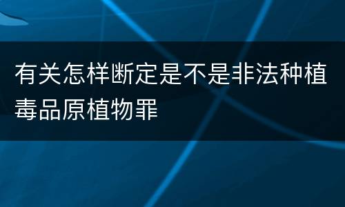 有关怎样断定是不是非法种植毒品原植物罪