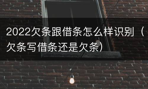 2022欠条跟借条怎么样识别（欠条写借条还是欠条）