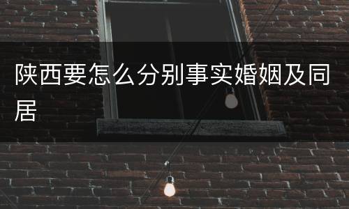 陕西要怎么分别事实婚姻及同居