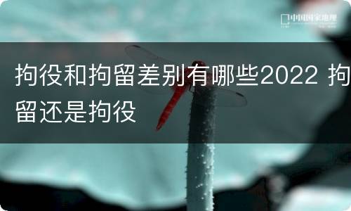 拘役和拘留差别有哪些2022 拘留还是拘役