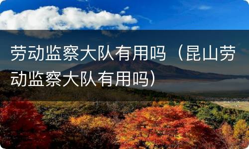 劳动监察大队有用吗（昆山劳动监察大队有用吗）