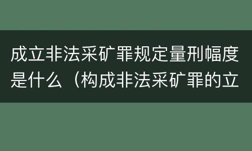 成立非法采矿罪规定量刑幅度是什么（构成非法采矿罪的立案标准）