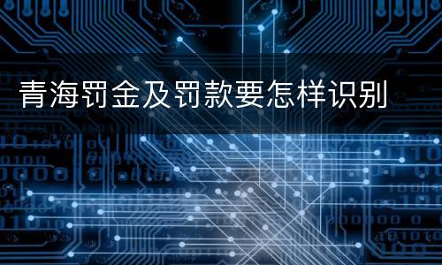 青海罚金及罚款要怎样识别