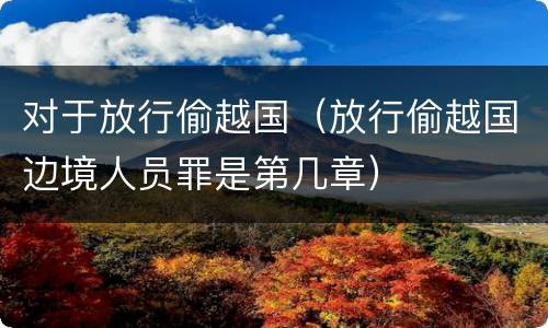 对于放行偷越国（放行偷越国边境人员罪是第几章）