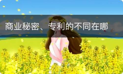 商业秘密、专利的不同在哪