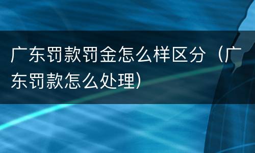 广东罚款罚金怎么样区分（广东罚款怎么处理）