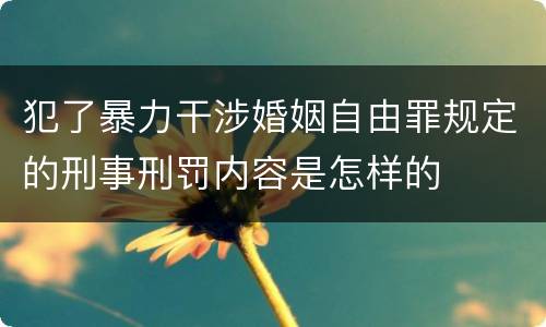犯了暴力干涉婚姻自由罪规定的刑事刑罚内容是怎样的