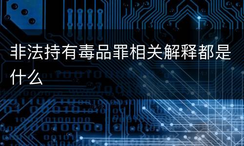 非法持有毒品罪相关解释都是什么