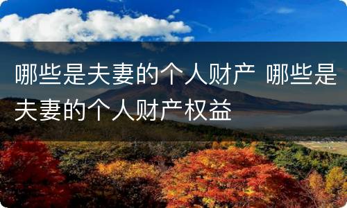 哪些是夫妻的个人财产 哪些是夫妻的个人财产权益