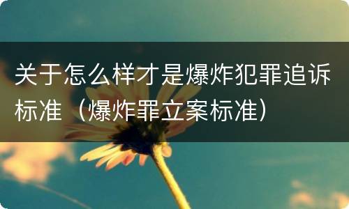关于怎么样才是爆炸犯罪追诉标准（爆炸罪立案标准）