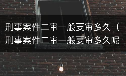刑事案件二审一般要审多久（刑事案件二审一般要审多久呢）