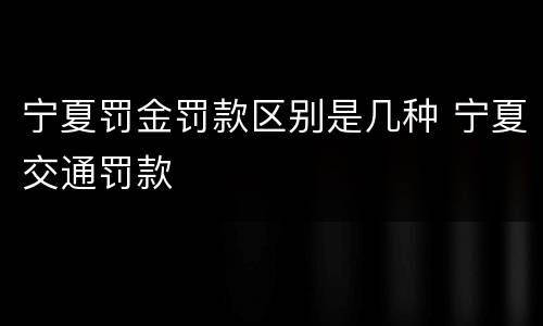宁夏罚金罚款区别是几种 宁夏交通罚款