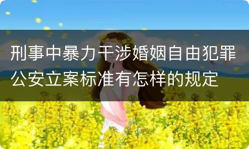 刑事中暴力干涉婚姻自由犯罪公安立案标准有怎样的规定