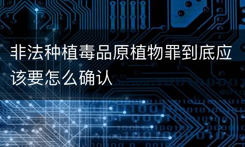 非法种植毒品原植物罪到底应该要怎么确认