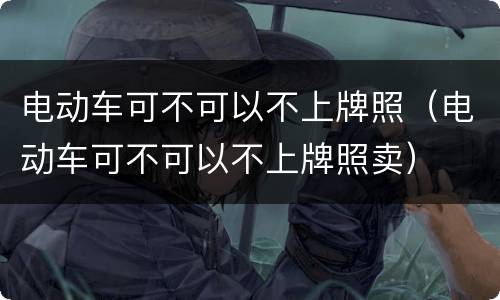 电动车可不可以不上牌照（电动车可不可以不上牌照卖）