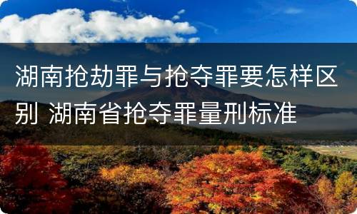湖南抢劫罪与抢夺罪要怎样区别 湖南省抢夺罪量刑标准