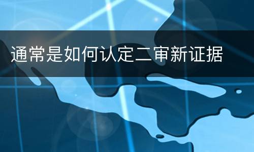 通常是如何认定二审新证据