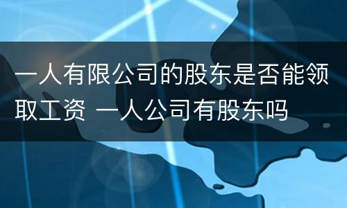 一人有限公司的股东是否能领取工资 一人公司有股东吗