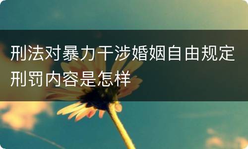 刑法对暴力干涉婚姻自由规定刑罚内容是怎样