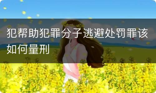 犯帮助犯罪分子逃避处罚罪该如何量刑