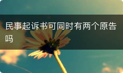 民事起诉书可同时有两个原告吗
