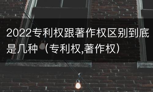 2022专利权跟著作权区别到底是几种（专利权,著作权）