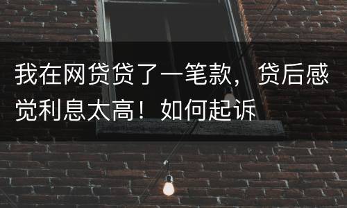 我在网贷贷了一笔款，贷后感觉利息太高！如何起诉