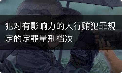 犯对有影响力的人行贿犯罪规定的定罪量刑档次