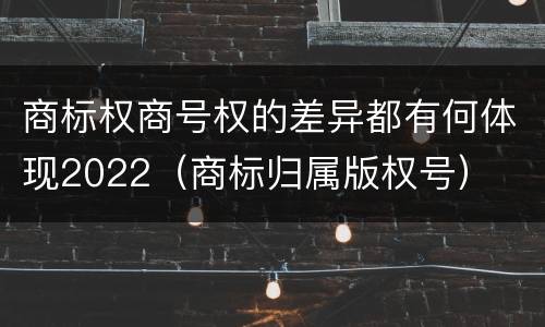 商标权商号权的差异都有何体现2022（商标归属版权号）