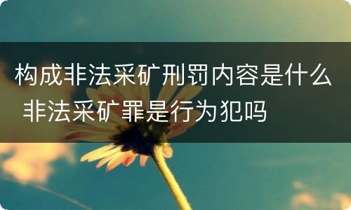 构成非法采矿刑罚内容是什么 非法采矿罪是行为犯吗