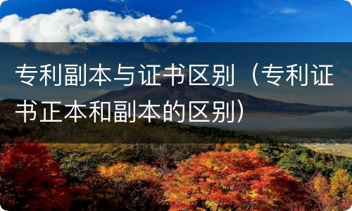 专利副本与证书区别（专利证书正本和副本的区别）